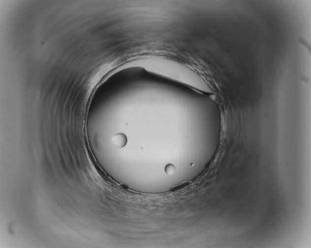 X0000099960003200806131520