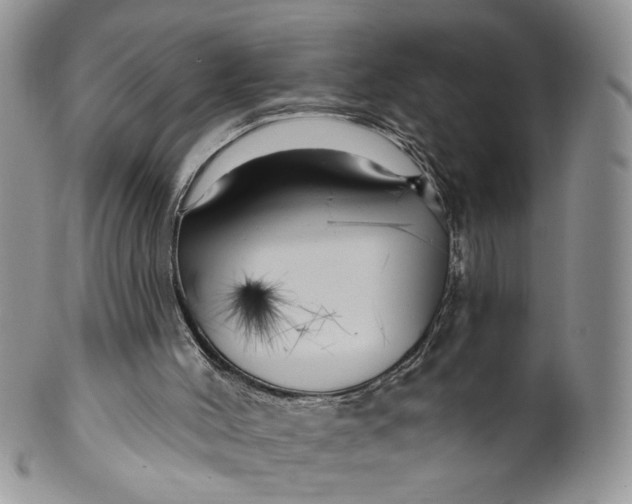 X0000099960004200806131520