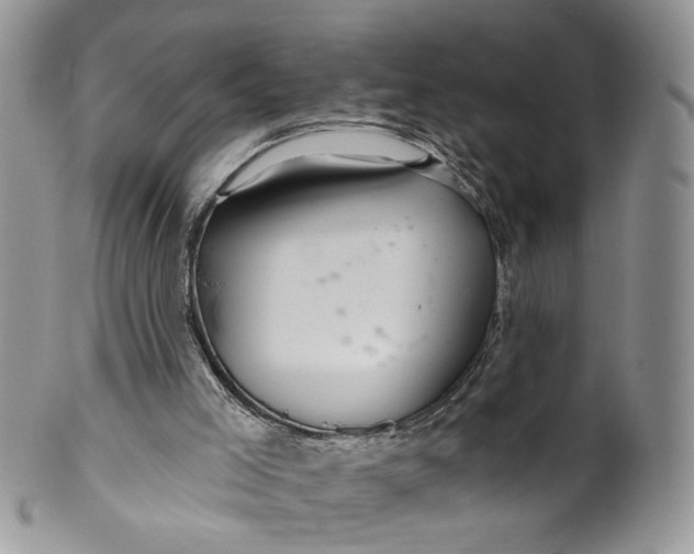 X0000099960005200806131520