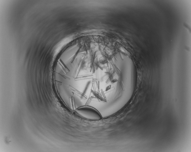 X0000099960006200806131520