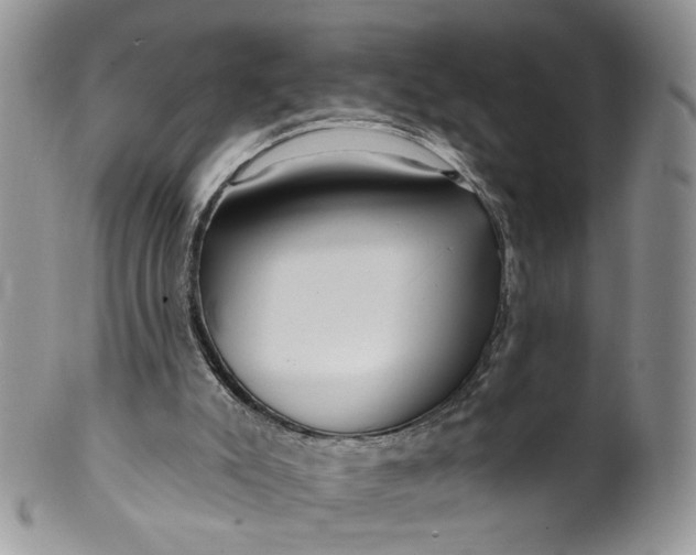 X0000099960007200806131520