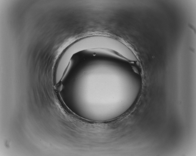 X0000099960008200806131520