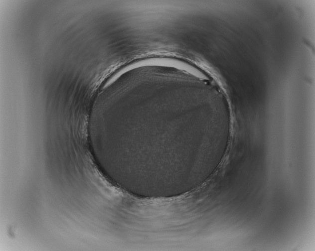 X0000099960009200806131520