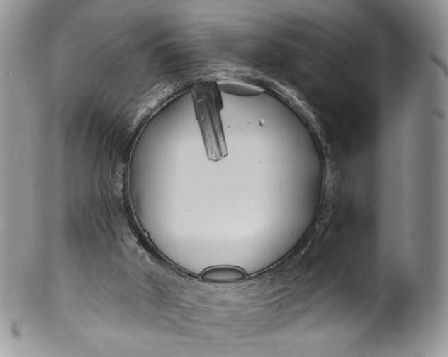 X0000099960010200806131520