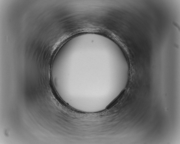 X0000099960011200806131520