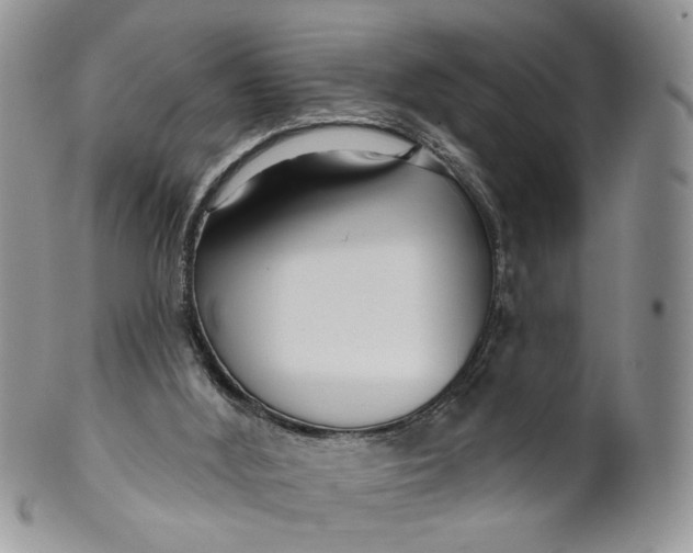 X0000099960012200806131520