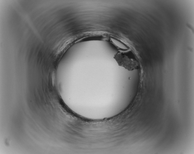 X0000099960013200806131520