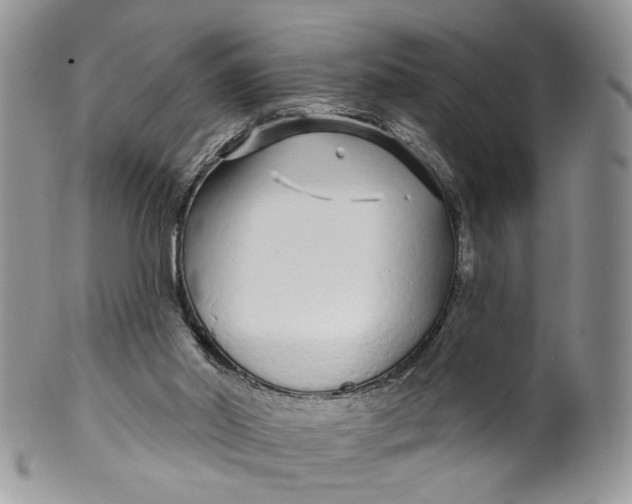 X0000099960014200806131520