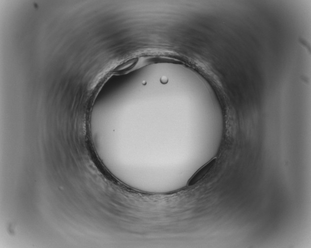 X0000099960015200806131520