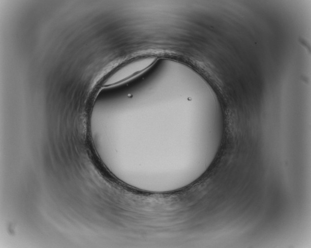 X0000099960016200806131520