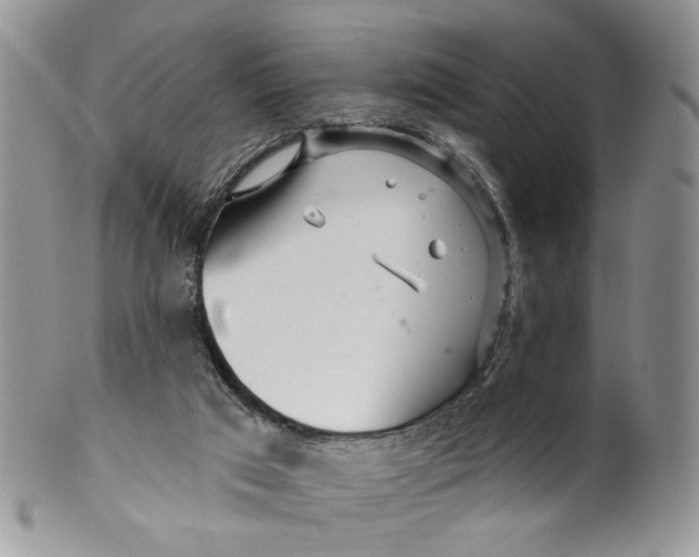 X0000099960017200806131520