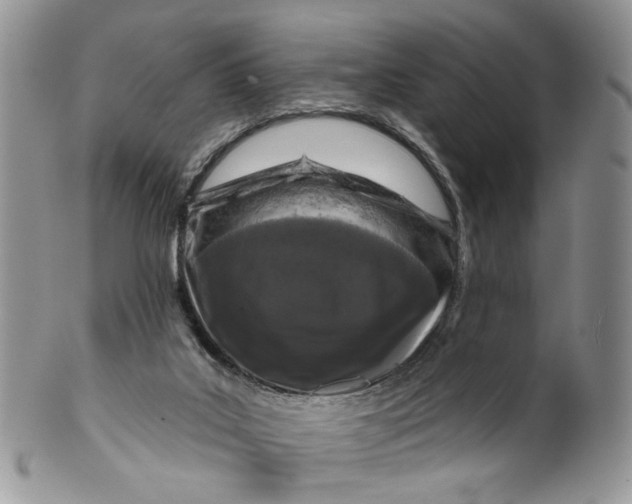 X0000099960019200806131520