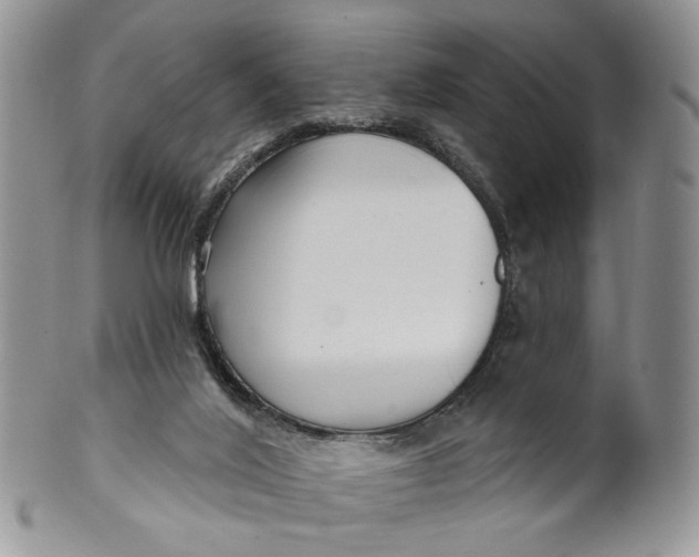 X0000099960020200806131520