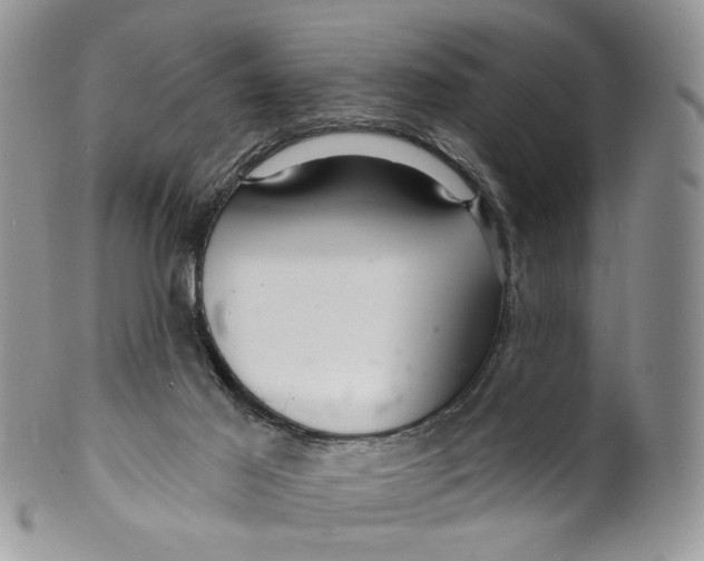 X0000099960021200806131520