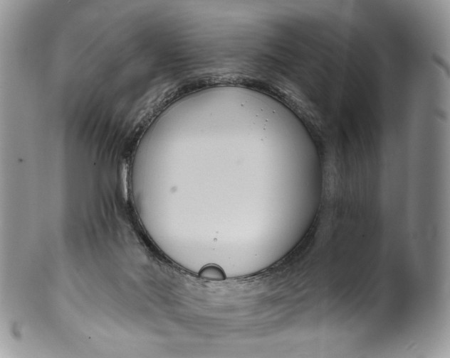 X0000099960022200806131520