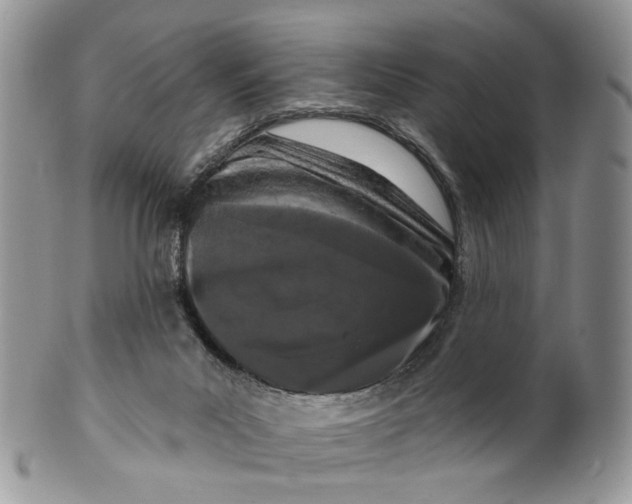 X0000099960023200806131520