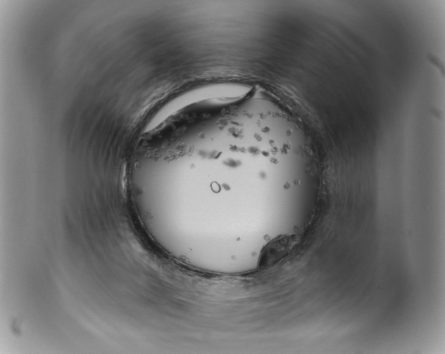 X0000099960024200806131520