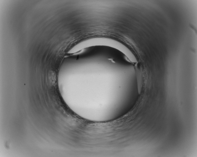 X0000099960025200806131520