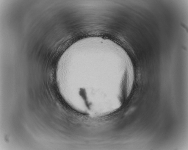 X0000099960026200806131520