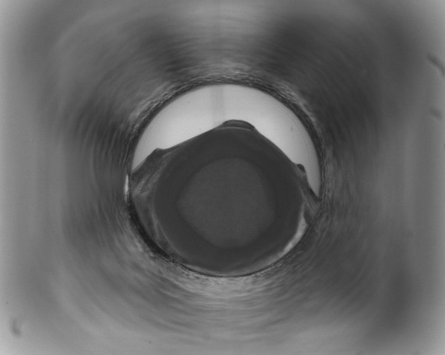 X0000099960027200806131520