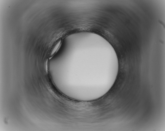 X0000099960028200806131520