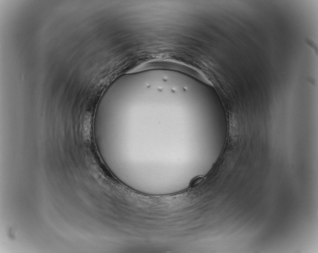 X0000099960030200806131520