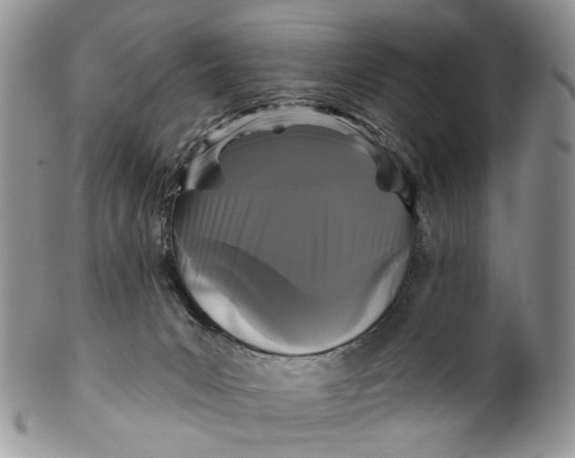 X0000099960031200806131520