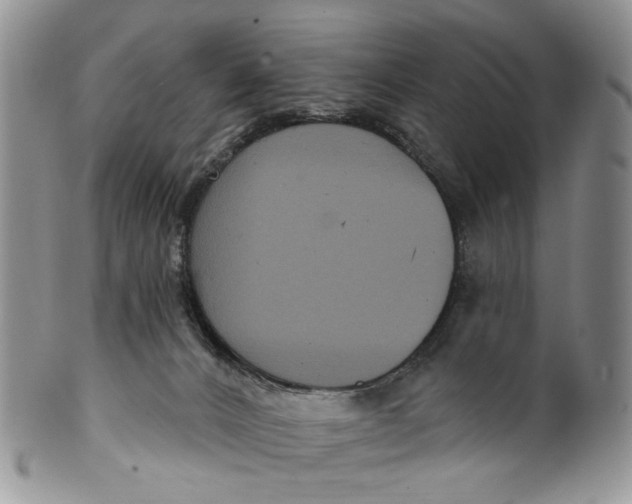 X0000099960032200806131520