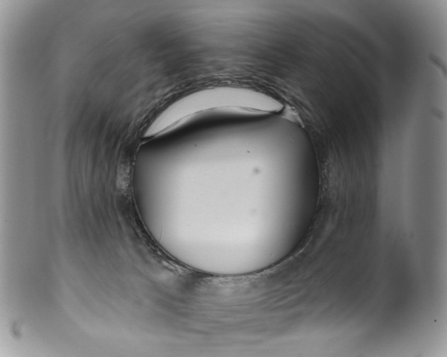 X0000099960033200806131520