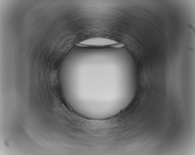 X0000099960034200806131520