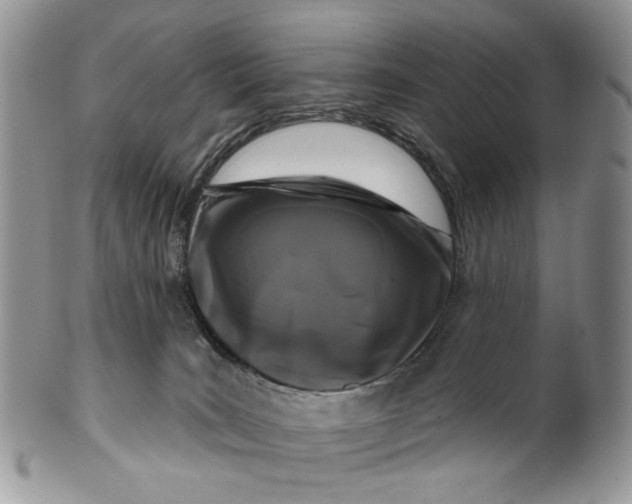 X0000099960035200806131520