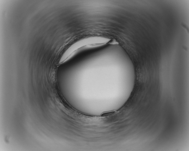 X0000099960036200806131520