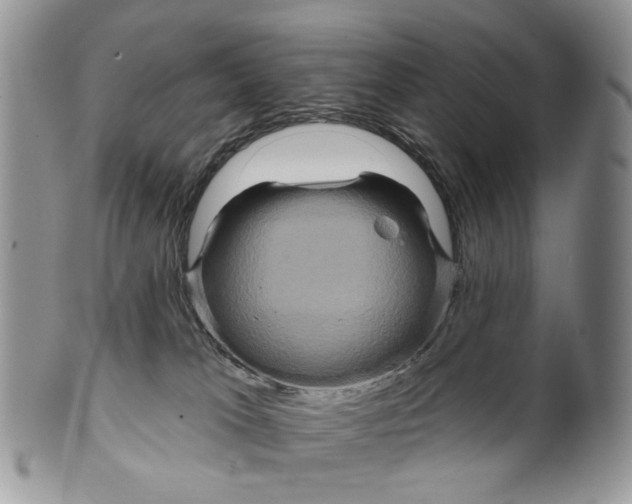 X0000099960037200806131520