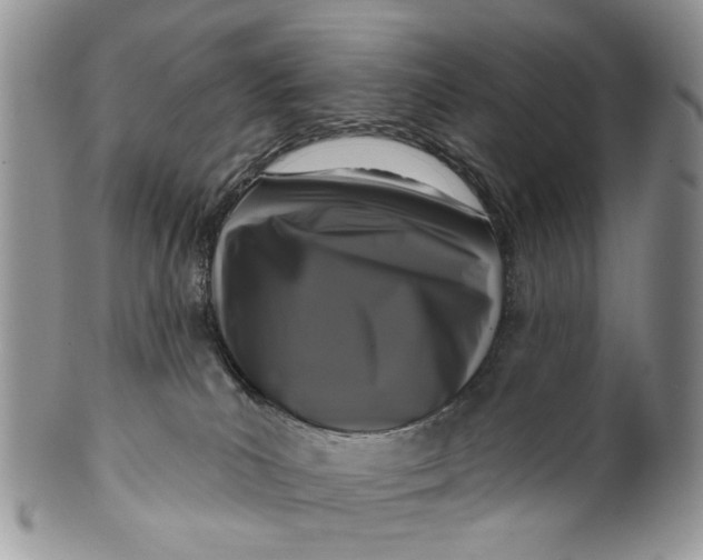 X0000099960039200806131520