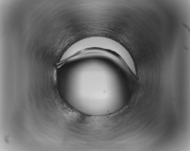 X0000099960041200806131520