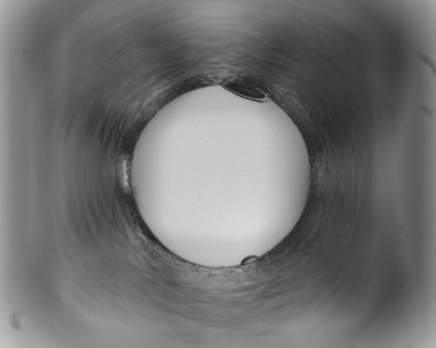 X0000099960042200806131520