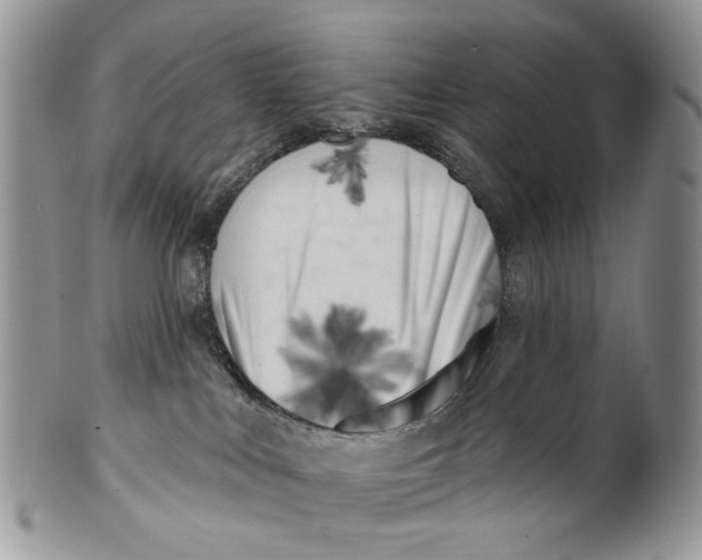 X0000099960043200806131520