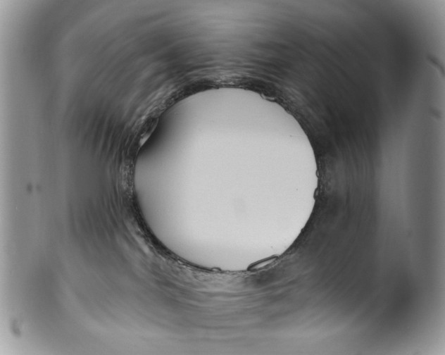 X0000099960044200806131520