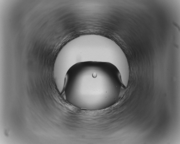 X0000099960045200806131520