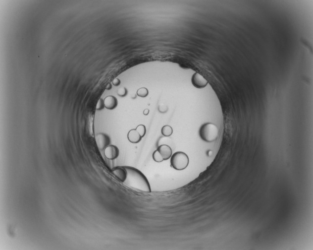 X0000099960046200806131520