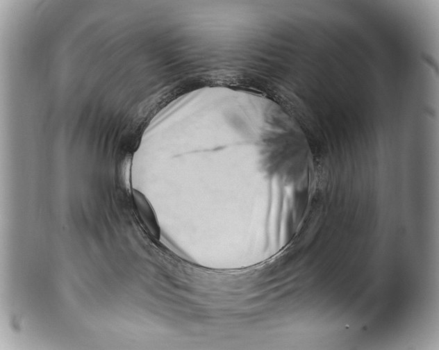 X0000099960047200806131520