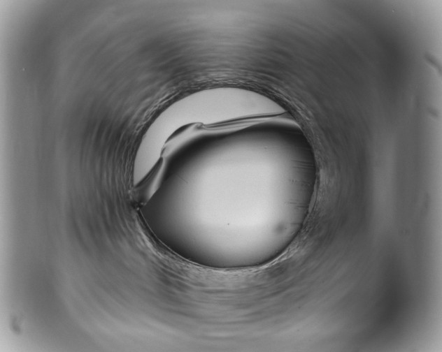 X0000099960048200806131520