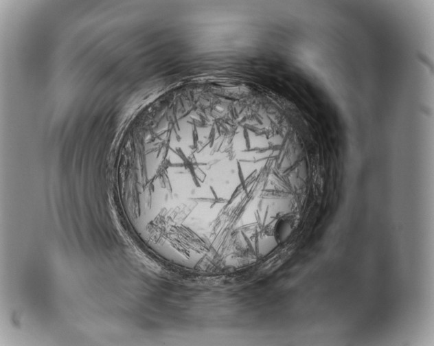 X0000099960049200806131519