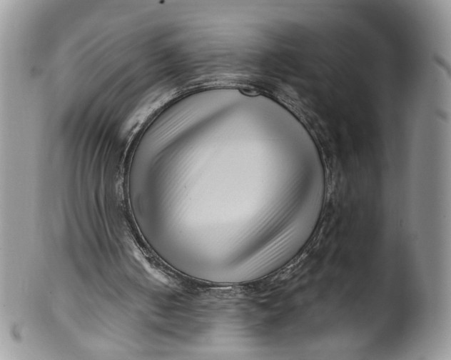 X0000099960050200806131519