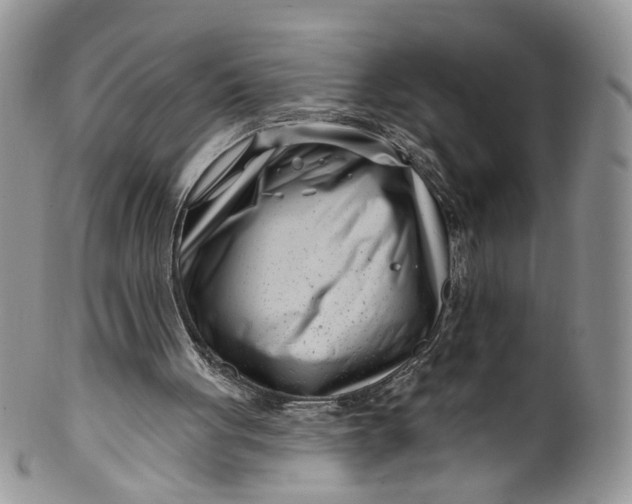 X0000099960051200806131519