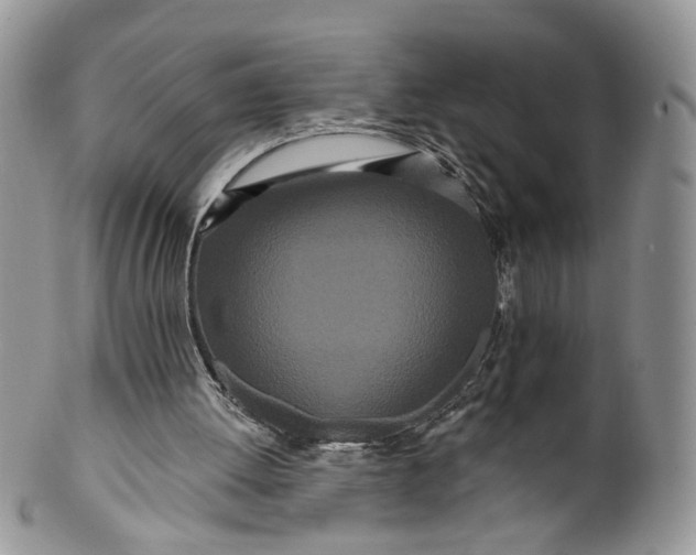 X0000099960052200806131519