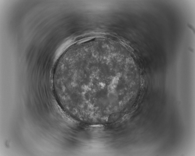 X0000099960053200806131519