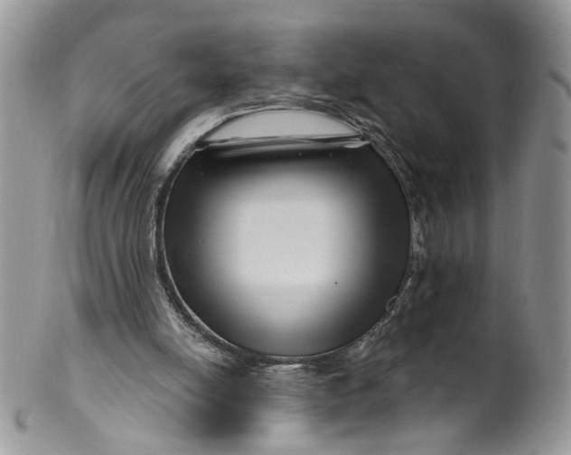 X0000099960054200806131519