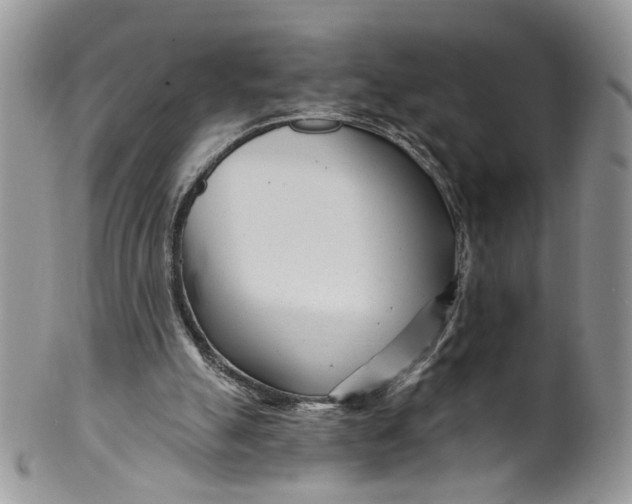 X0000099960055200806131519