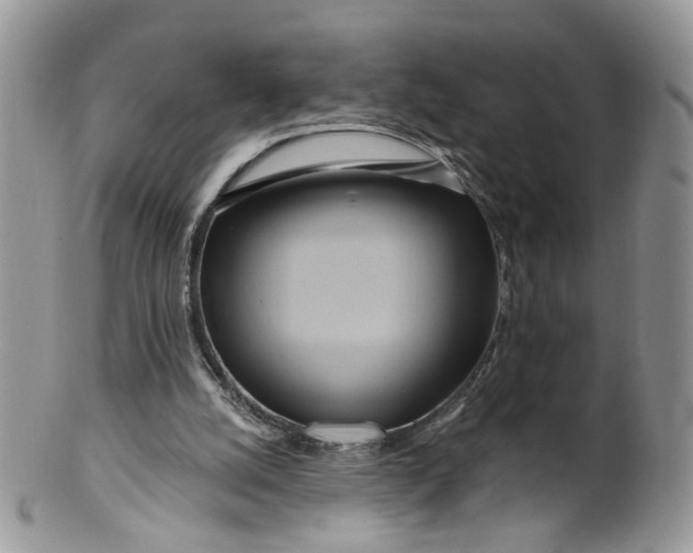 X0000099960056200806131519